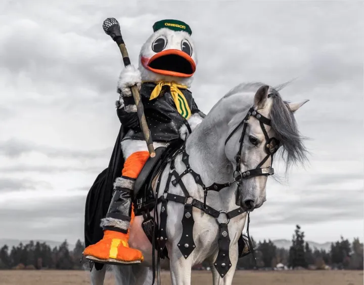 Duckflix Series